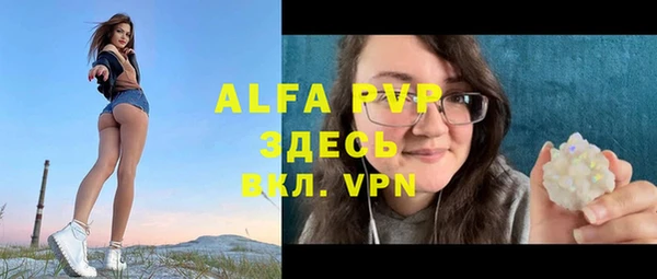 молекула духа Сосновка