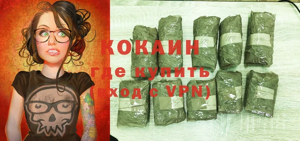 молекула духа Сосновка