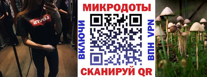 купить наркотик  Гдов  Галлюциногенные грибы мицелий 
