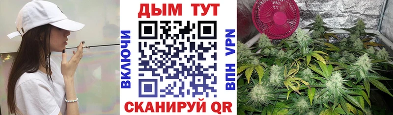 МАРИХУАНА сатива  Гдов 